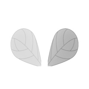 Fly Wings